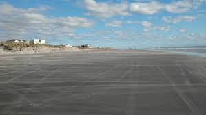 Nature-Based Solutions for Coastal Protection