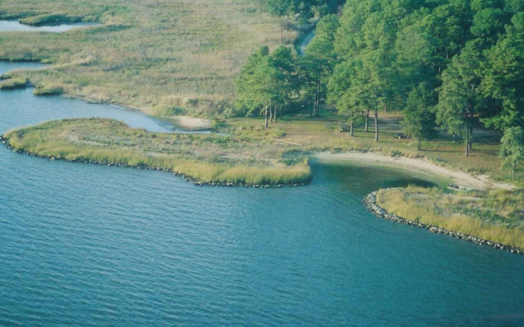 Nature-Based Solutions for Coastal Protection