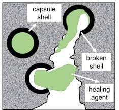 The Potential of Self Healing Concrete in Construction